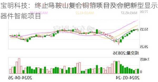 宝明科技：终止马鞍山复合铜箔项目及合肥新型显示器件智能项目