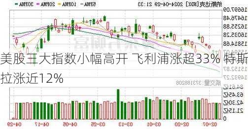 美股三大指数小幅高开 飞利浦涨超33% 特斯拉涨近12%