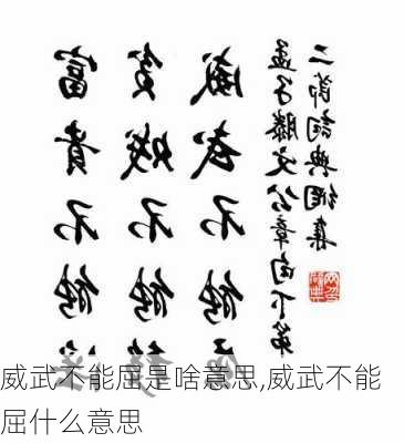 威武不能屈是啥意思,威武不能屈什么意思