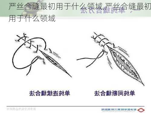 严丝合缝最初用于什么领域,严丝合缝最初用于什么领域