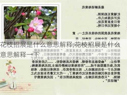 花枝招展是什么意思解释,花枝招展是什么意思解释一下