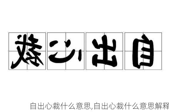 自出心裁什么意思,自出心裁什么意思解释