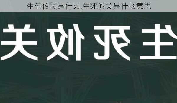 生死攸关是什么,生死攸关是什么意思