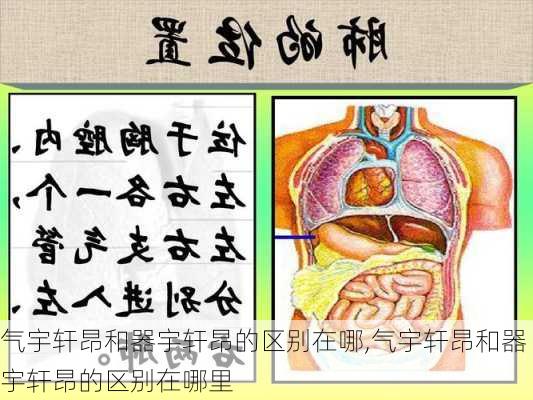 气宇轩昂和器宇轩昂的区别在哪,气宇轩昂和器宇轩昂的区别在哪里