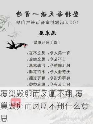 覆巢毁卵而凤凰不翔,覆巢毁卵而凤凰不翔什么意思