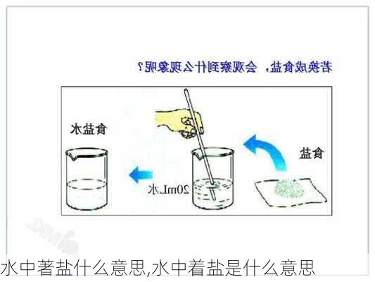 水中著盐什么意思,水中着盐是什么意思