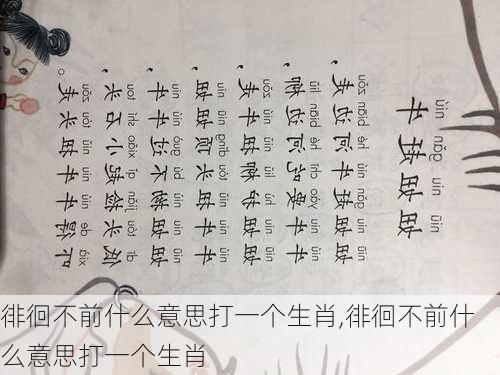 徘徊不前什么意思打一个生肖,徘徊不前什么意思打一个生肖