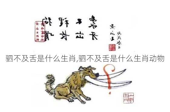 驷不及舌是什么生肖,驷不及舌是什么生肖动物