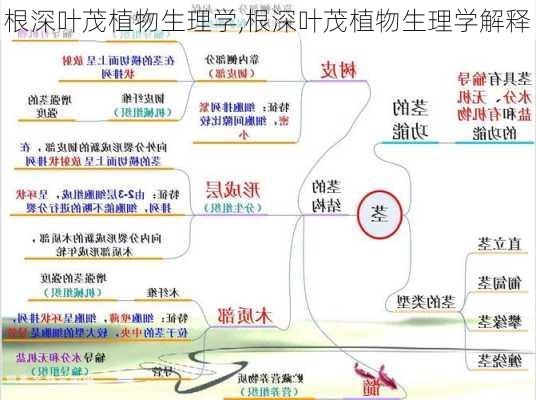 根深叶茂植物生理学,根深叶茂植物生理学解释