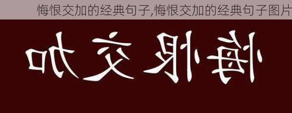 悔恨交加的经典句子,悔恨交加的经典句子图片