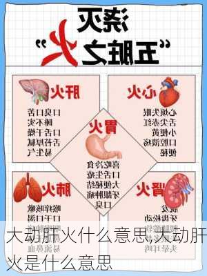 大动肝火什么意思,大动肝火是什么意思