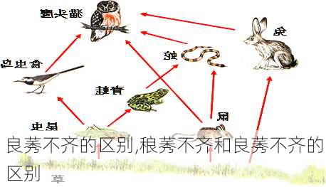 良莠不齐的区别,稂莠不齐和良莠不齐的区别