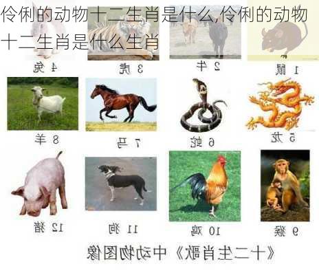 伶俐的动物十二生肖是什么,伶俐的动物十二生肖是什么生肖