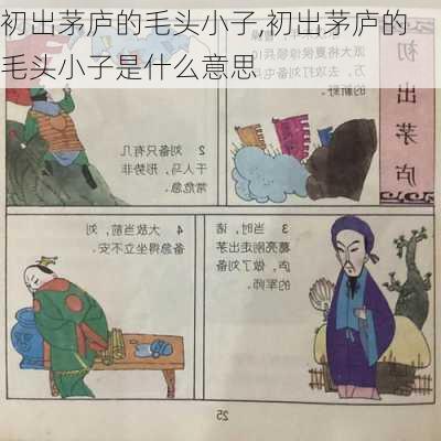 初出茅庐的毛头小子,初出茅庐的毛头小子是什么意思