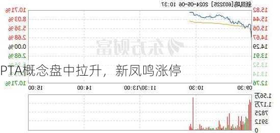 PTA概念盘中拉升，新凤鸣涨停