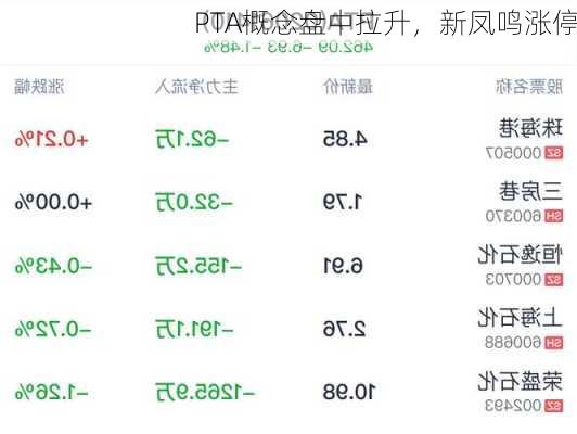 PTA概念盘中拉升，新凤鸣涨停