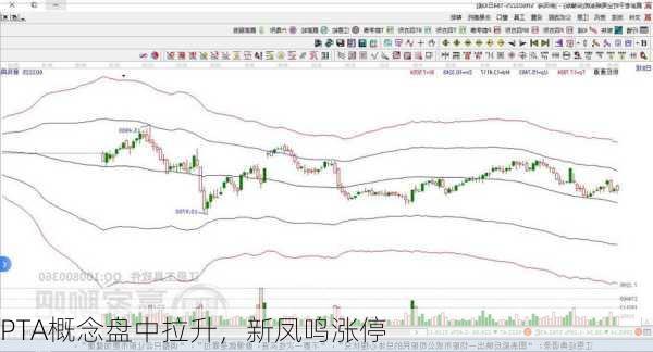 PTA概念盘中拉升，新凤鸣涨停