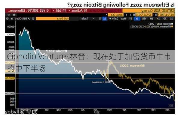 Cipholio Ventures林晋：现在处于加密货币牛市的中下半场