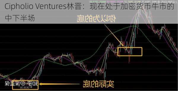 Cipholio Ventures林晋：现在处于加密货币牛市的中下半场