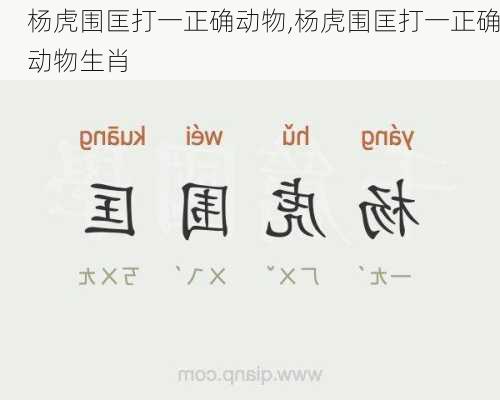 杨虎围匡打一正确动物,杨虎围匡打一正确动物生肖
