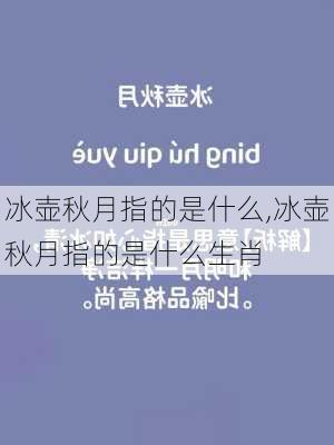 冰壶秋月指的是什么,冰壶秋月指的是什么生肖