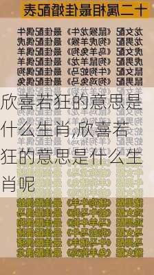 欣喜若狂的意思是什么生肖,欣喜若狂的意思是什么生肖呢