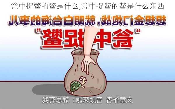 瓮中捉鳖的鳖是什么,瓮中捉鳖的鳖是什么东西