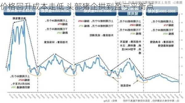 价格回升成本走低 头部猪企拱到盈亏平衡点