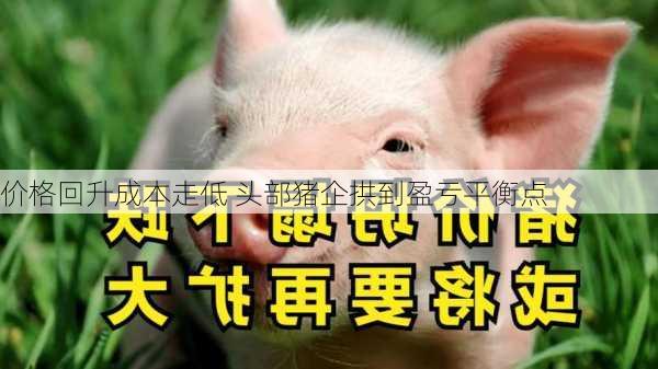 价格回升成本走低 头部猪企拱到盈亏平衡点