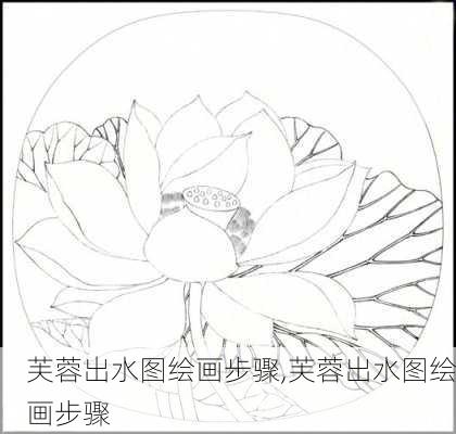 芙蓉出水图绘画步骤,芙蓉出水图绘画步骤