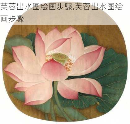 芙蓉出水图绘画步骤,芙蓉出水图绘画步骤