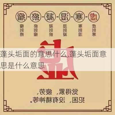 蓬头垢面的意思什么,蓬头垢面意思是什么意思