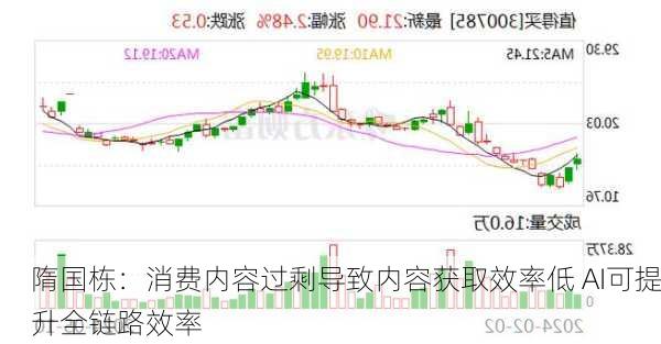 隋国栋：消费内容过剩导致内容获取效率低 AI可提升全链路效率