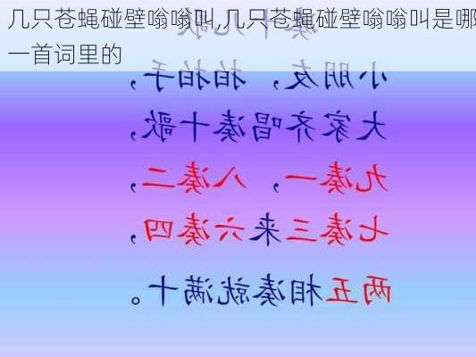 几只苍蝇碰壁嗡嗡叫,几只苍蝇碰壁嗡嗡叫是哪一首词里的