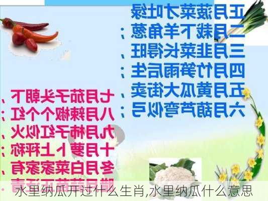 水里纳瓜开过什么生肖,水里纳瓜什么意思