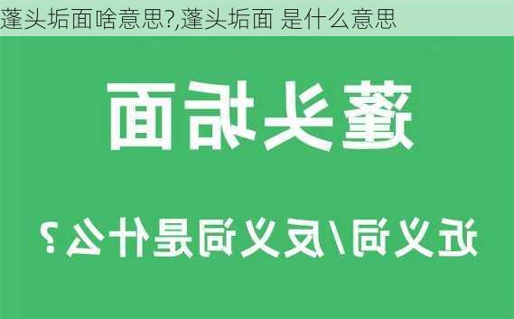 蓬头垢面啥意思?,蓬头垢面 是什么意思