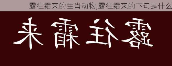 露往霜来的生肖动物,露往霜来的下句是什么