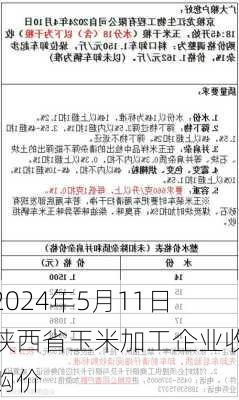 2024年5月11日陕西省玉米加工企业收购价