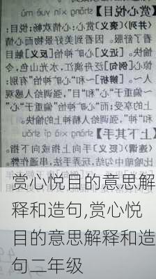 赏心悦目的意思解释和造句,赏心悦目的意思解释和造句二年级