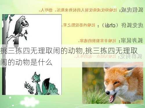 挑三拣四无理取闹的动物,挑三拣四无理取闹的动物是什么