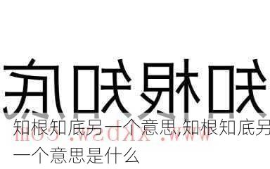 知根知底另一个意思,知根知底另一个意思是什么