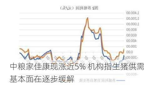 中粮家佳康现涨近5% 机构指生猪供需基本面在逐步缓解