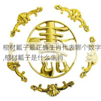 棺材瓤子最正确生肖代表哪个数字,棺材瓤子是什么生肖