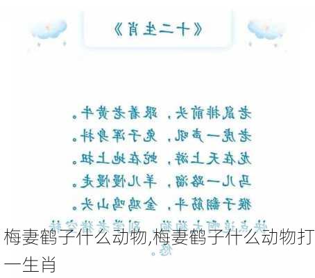 梅妻鹤子什么动物,梅妻鹤子什么动物打一生肖