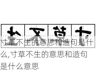 寸草不生的意思和造句是什么,寸草不生的意思和造句是什么意思