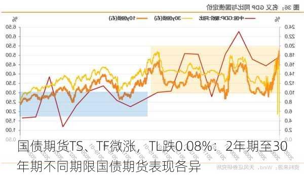 国债期货TS、TF微涨，TL跌0.08%：2年期至30年期不同期限国债期货表现各异