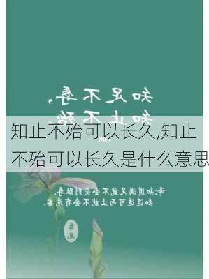 知止不殆可以长久,知止不殆可以长久是什么意思