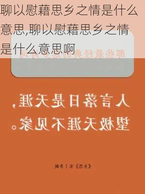 聊以慰藉思乡之情是什么意思,聊以慰藉思乡之情是什么意思啊