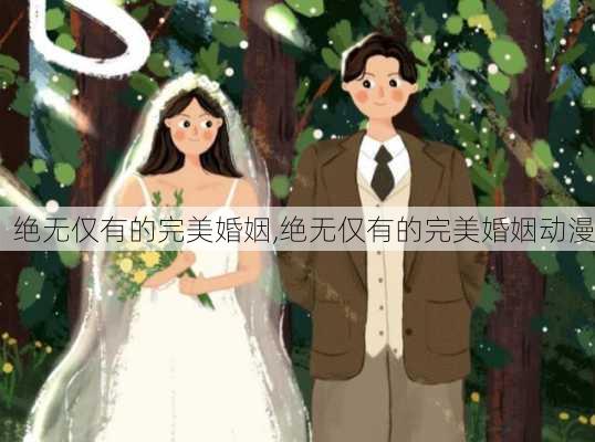 绝无仅有的完美婚姻,绝无仅有的完美婚姻动漫