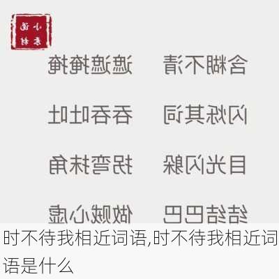 时不待我相近词语,时不待我相近词语是什么